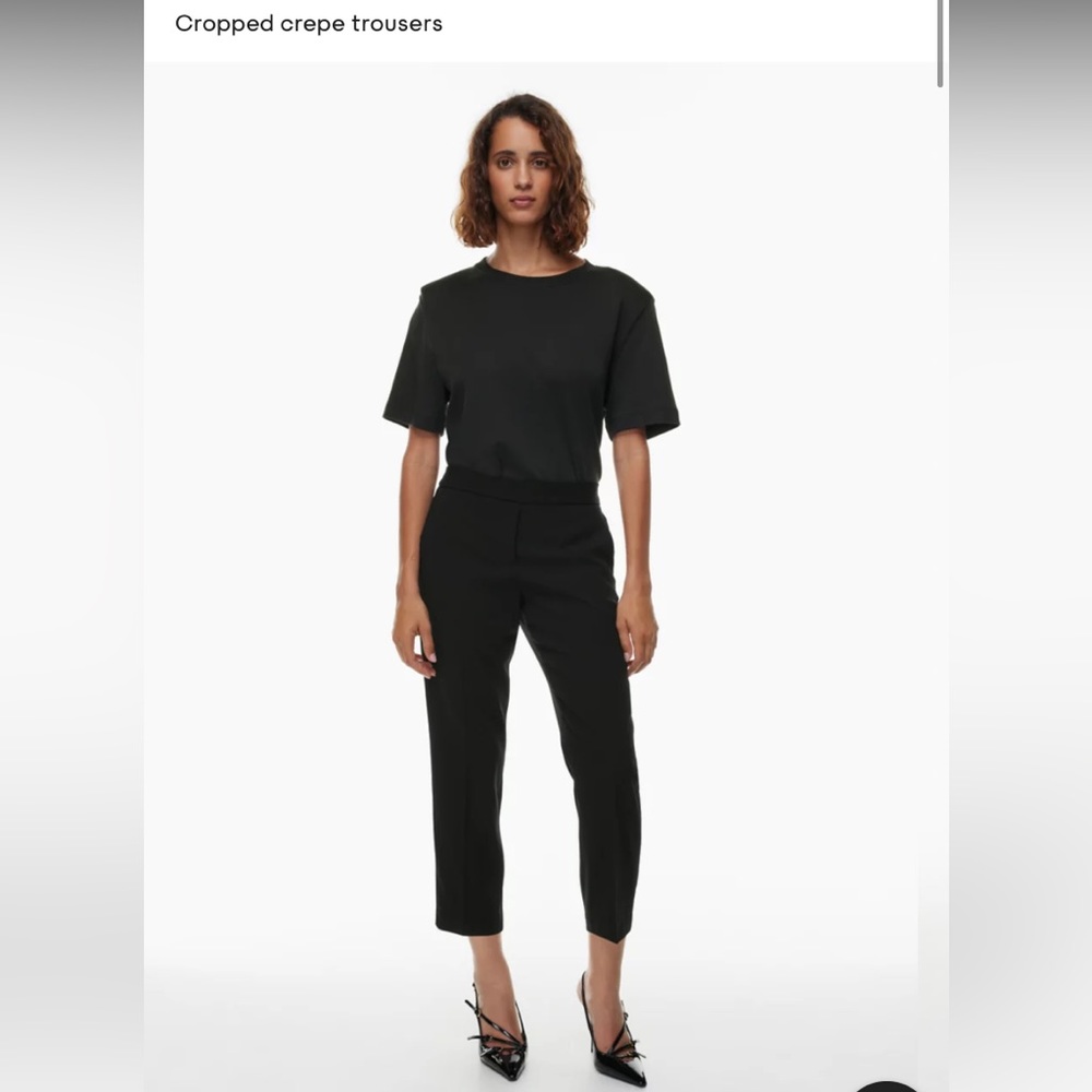 Babaton pants from Aritzia